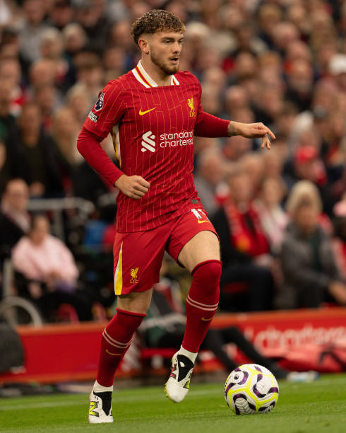 他继续在场 他继续在场