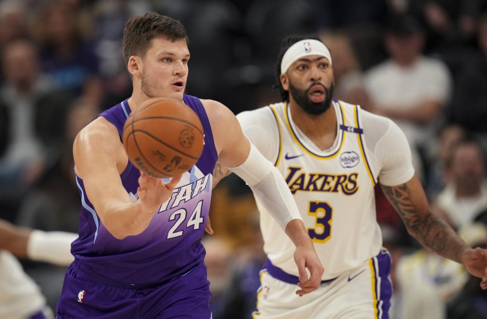 不仅展示了 不仅展示了